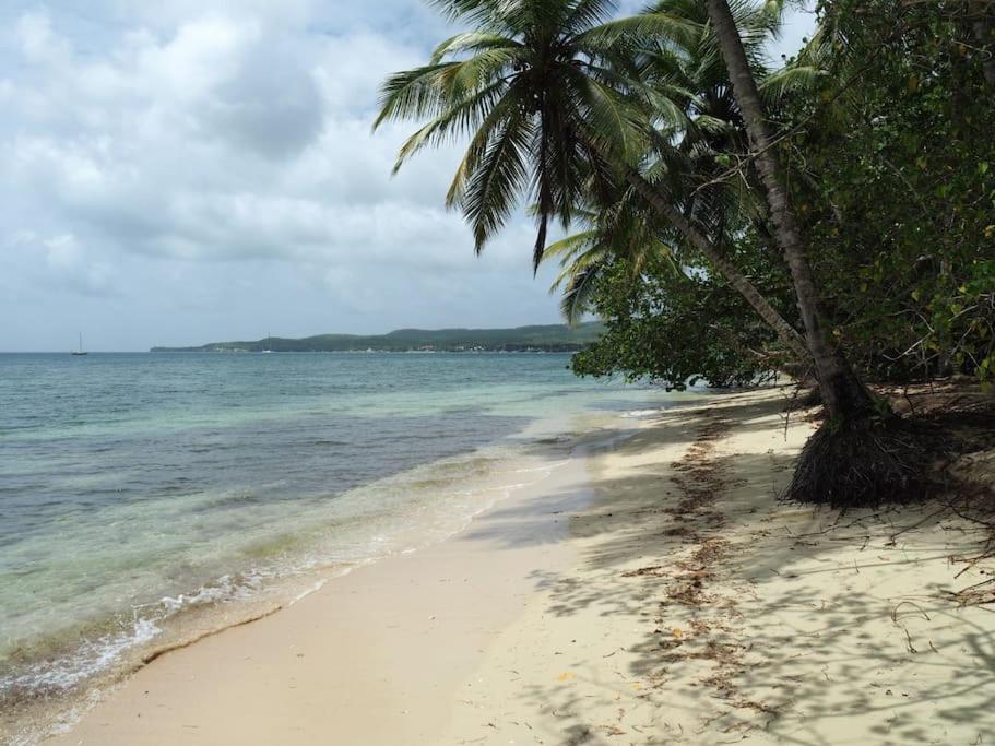 Katalea - Blue Dream, Plage, Piscine, Bar Grand-Bourg (Marie Galante) 外观 照片