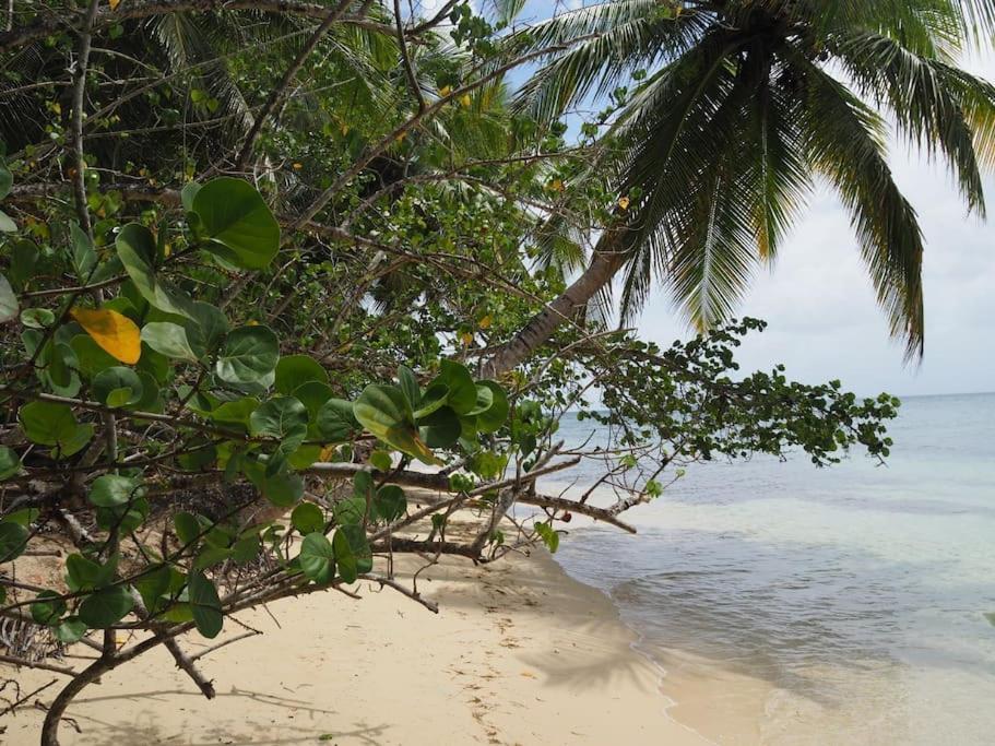 Katalea - Blue Dream, Plage, Piscine, Bar Grand-Bourg (Marie Galante) 外观 照片